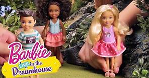 Behind the Scenes! | Barbie LIVE! In the Dreamhouse | @Barbie