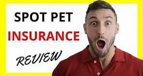 🔥 Spot Pet Insurance Review: Is it Worth the Investment?