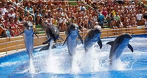 Marineland Catalunya