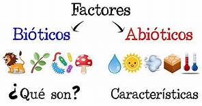 🐝 Factores Bióticos y Abióticos de los Ecosistemas 🌿 [Fácil y Rápido] | BIOLOGÍA |