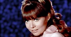 Barbara Feldon