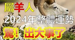 2024生肖運勢，十二生肖2024年生肖羊全年運勢分析，生肖羊作為中國十二生肖中，最溫和善良的一個生肖，屬羊人以其溫情脈脈和細膩敏感的特質，而受到人們的喜愛。2024年對於生肖羊而言並非一帆風順