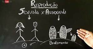 Reprodução SEXUADA e ASSEXUADA - Fecundação INTERNA e EXTERNA