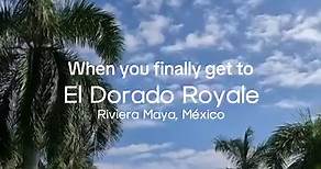 Stunning scenery everywhere you look at El Dorado Royale. 🌴🌊 What is your favorite spot? | ¿Cuál es tu lugar favorito? 🌞 Impresionantes paisajes por dondequiera que mires en El Dorado Royale. 🌴🌊 | El Dorado Spa Resorts