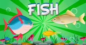 Fish | Educational Video for Kids.