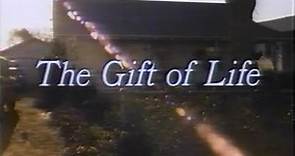 The Gift of Life (TV Movie - 1982) - Susan Dey as Surrogate Mother