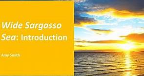 Wide Sargasso Sea - Introduction