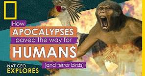 How Apocalypses Paved the Way for Humans (and terror birds) | Nat Geo Explores