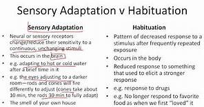 Sensory Adaptation v Habituation