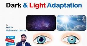 Dark and Light Adaptation | Eye Physiology