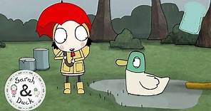 Sarah and Duck Official - 20 mins - Full Episodes 4