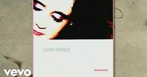 Julieta Venegas - Bueninvento (Cover Audio)