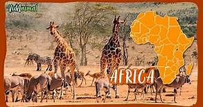 ÁFRICA SALVAJE: Documental de sus grandes animales.