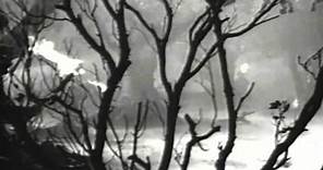 The Wolfman Trailer 1941