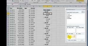 Use an Excel Pivot Table to Group Data by Age Bracket