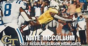 Nate McCollum 2022 Regular Season Highlights | Georgia Tech WR