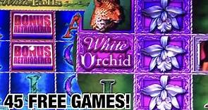 White Orchid Slot Machine 🌸 Bonus @ $12.00 Bet 45 Free Games! Awesome WIN!! 👍👍😁🎰✅🤩
