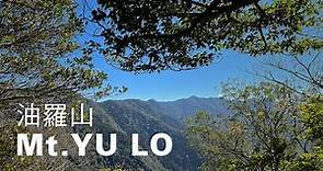 油羅山環走7.5km，新竹奇石、彎樹、柳杉林豐富地景，羅杉林道二上一下暢快漫遊中級山｜山上加美Lovely Hill