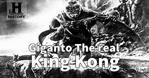 Giganto The real King Kong