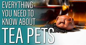 How to Use Tea Pets