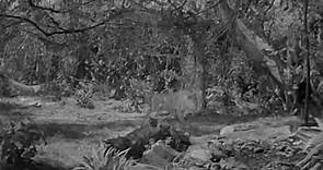 Tarzan's Secret Treasure (1941) Johnny Weissmuller, Maureen O'Sullivan ...