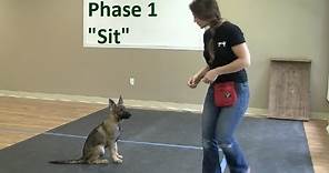 How to Train a Dog to "Sit" (K9-1.com)