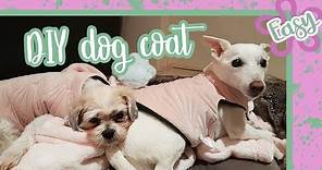 30 Minute easy DIY dog coat + Free pattern 2020. HOW to sew a DOG coat