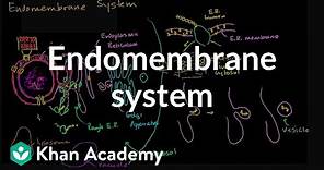 Endomembrane system | Structure of a cell | Biology | Khan Academy