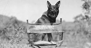 Susan Orlean on the original Rin Tin Tin - Commentary - The New Yorker