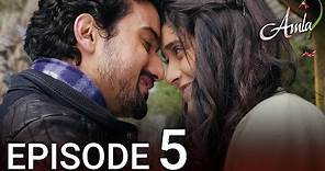 Amla Episode 5 | Hindi Drama | Kya Qusoor Hai Amala Ka?