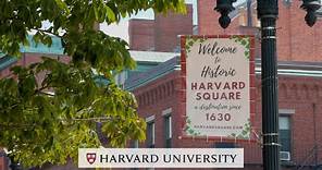 Harvard Square: A Love Story