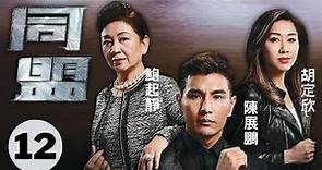 胡定欣主演 | TVB懸疑動作劇 | 同盟 12/28 | 陳展鵬、胡定欣、鮑起靜、陳山聰、姚子羚、梁競徽 | 粵語中字 | 2017