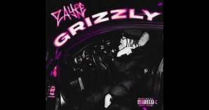 Zayre - Grizzly