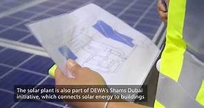 UAE’s Largest Ground-mounted Private Solar Plant | Nestle and DEWA's smart Dubai initiative