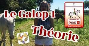 GALOP 1 : Théorie sur le cheval