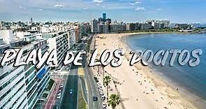 BEST BEACH IN MONTEVIDEO URUGUAY 4K - Playa de Los Pocitos