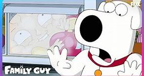 Stewie Discovers Hide And Seek | Season 21 Ep. 7 | Family Guy