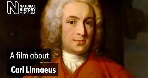 A film about Carl Linnaeus | Natural History Museum