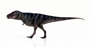 Estudio revela que el Tiranosaurio rex caminaba a la velocidad del ser humano