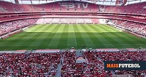 Benfica-V. Guimarães: bilhetes «temporariamente esgotados» | MAISFUTEBOL