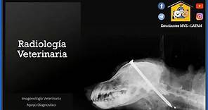 012 - Radiología Veterinaria