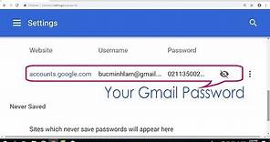 How to Show Gmail Password in Google Chrome | NETVN