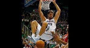 Mehmet Okur Highlights