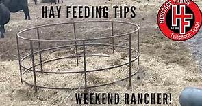 Feeding Hay to Cattle - couple of tips to help out.