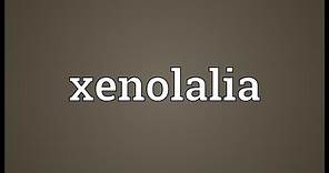 Xenolalia Meaning
