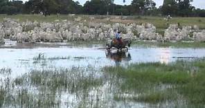 Filme - PANTANAL