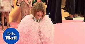 Anna Wintour makes a grand entrance at the 2019 Met Gala