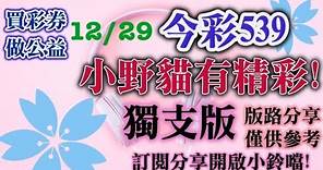 12/29 今彩539 小野貓有"精彩"539 獨支版版路分享 💖⭐💖💖⭐明天就要開⭐小野貓拼了💖💖