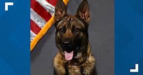 Roswell PD K9 dies during medical emergency