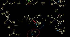 Acid-catalyzed ester hydrolysis